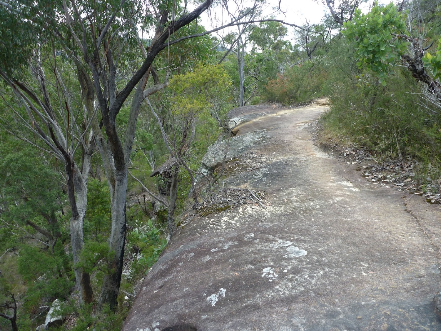 Walking along a rock platform west of Hornsby Heights