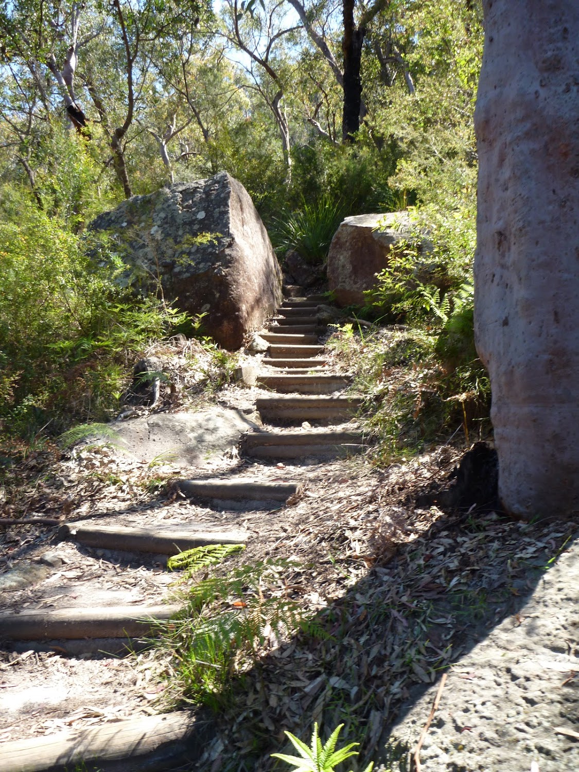 Track north of Banggarai Creek