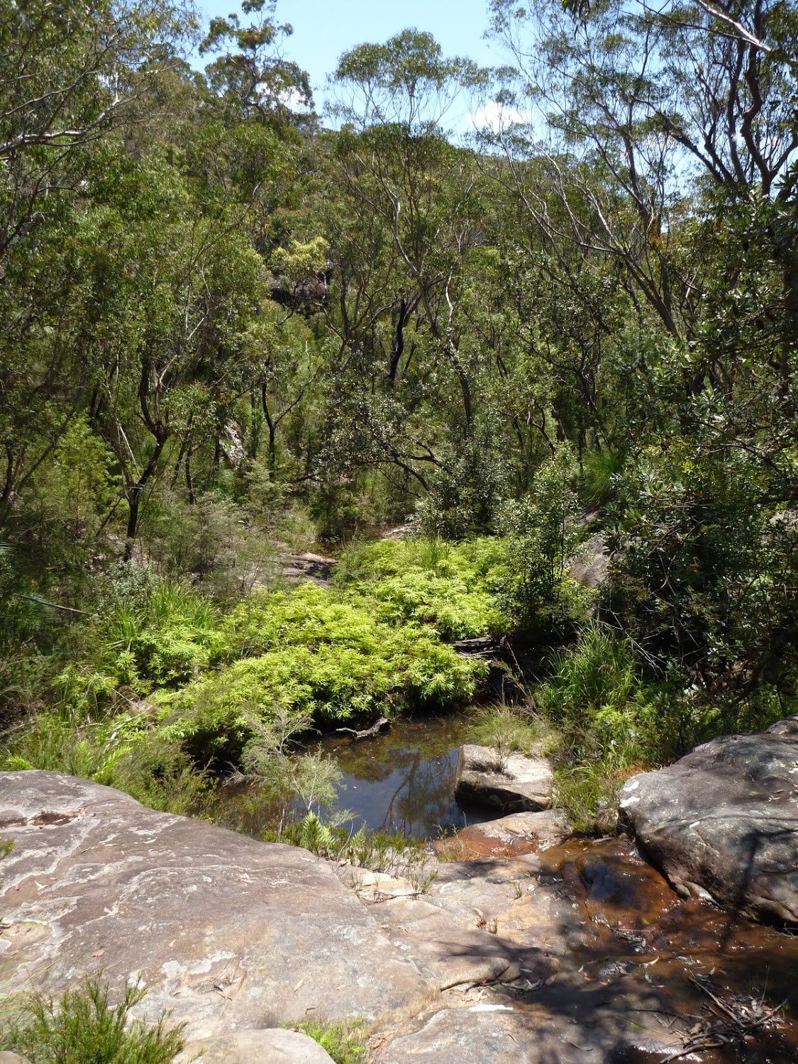 Crossing Deep Bay Creek