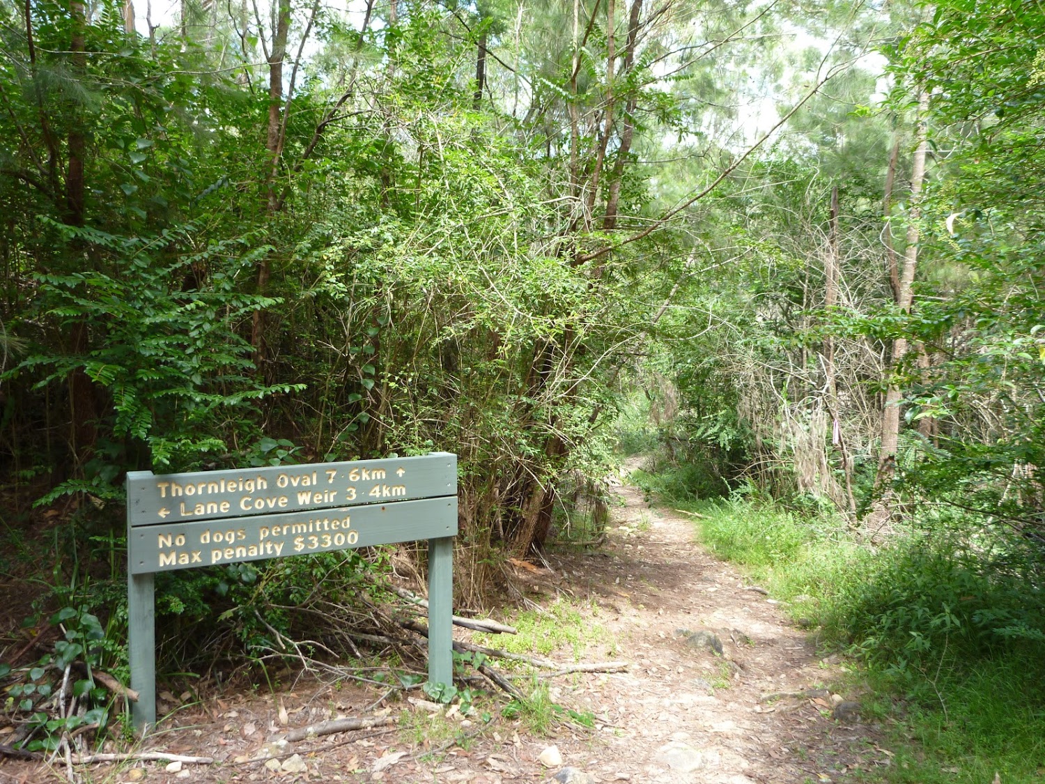 Well signposted section in Lane Cove NP