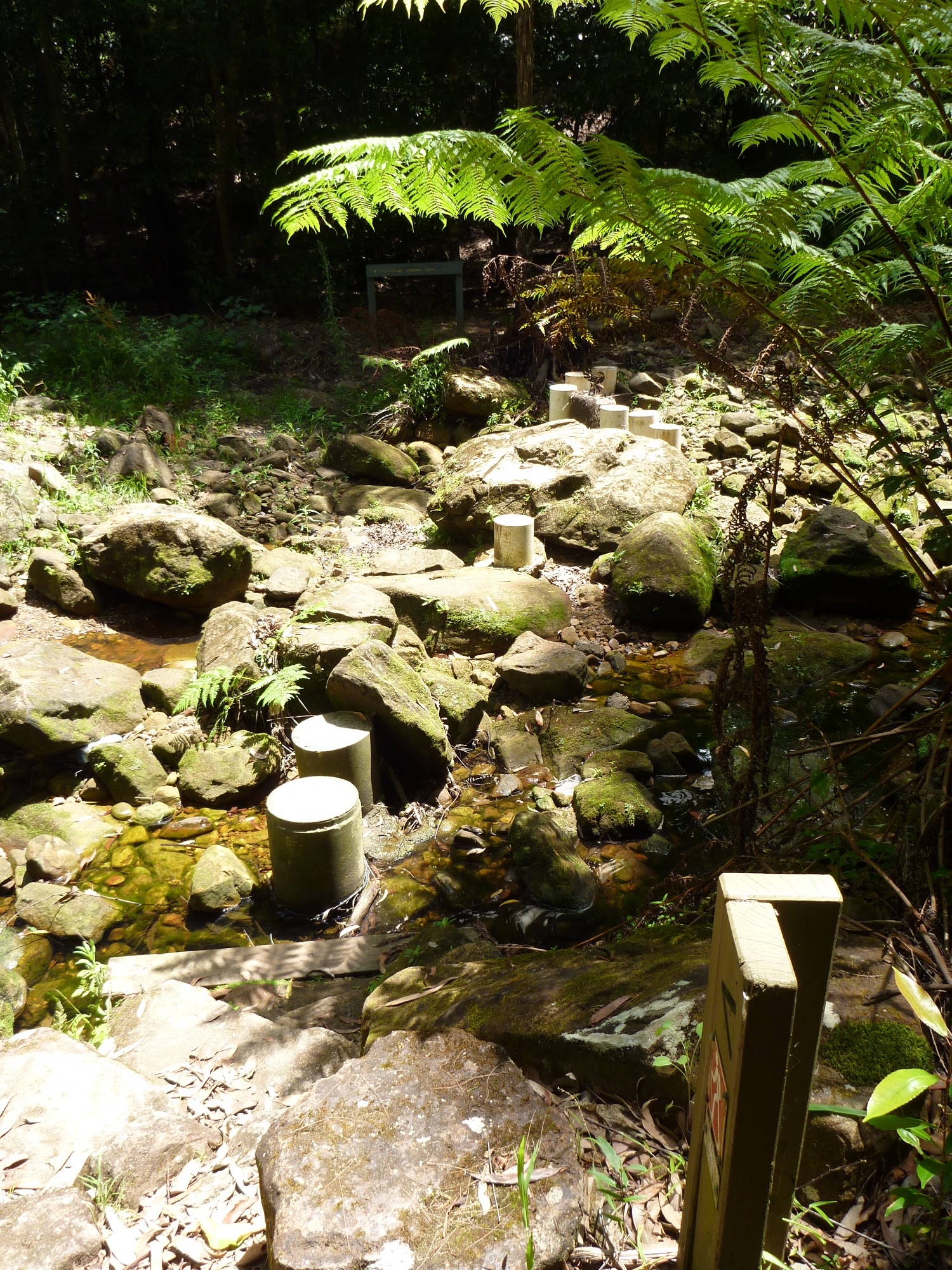 Stepping stones over the upper Lane Cove River