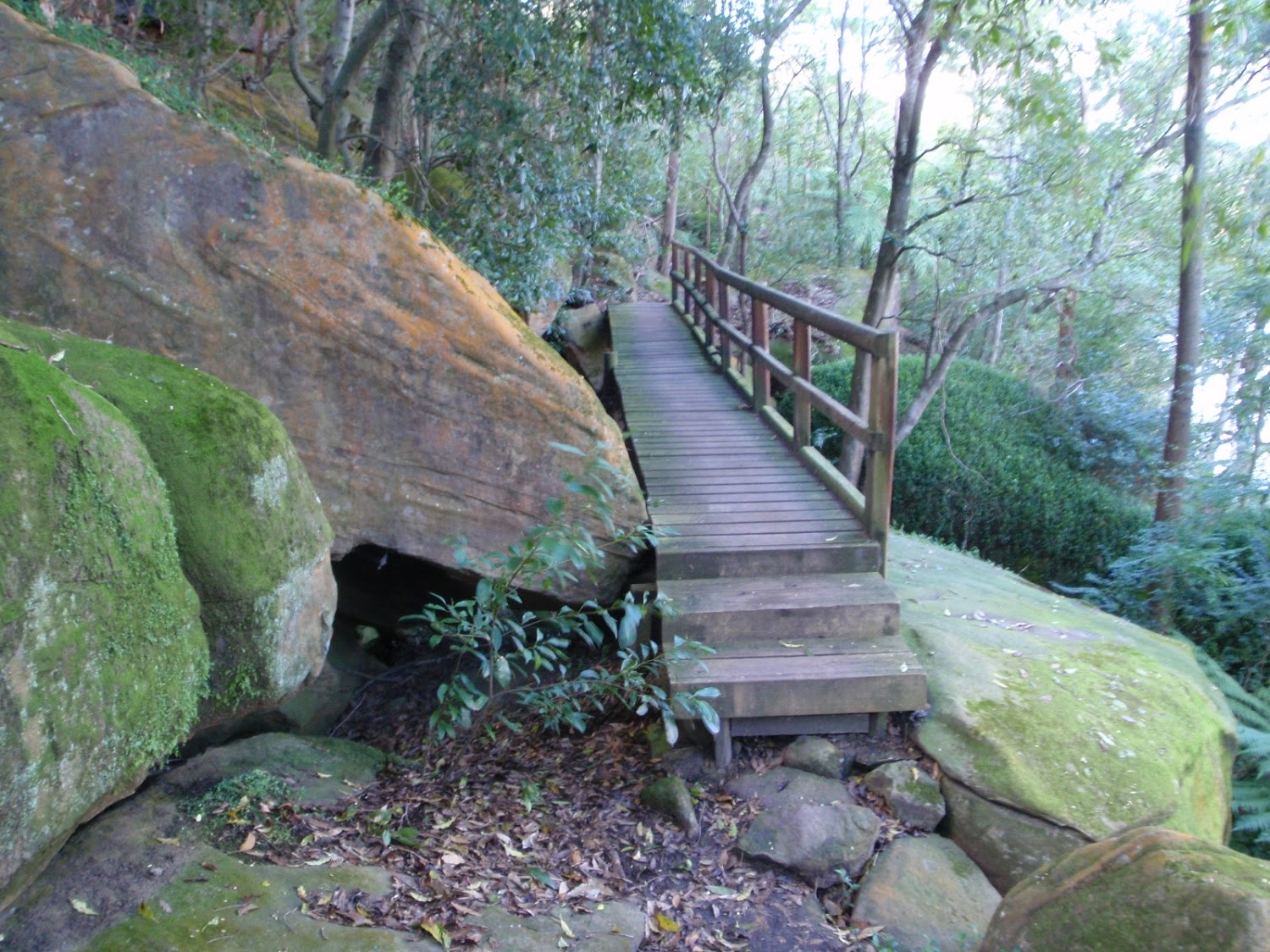 Great north walk east of Epping Road