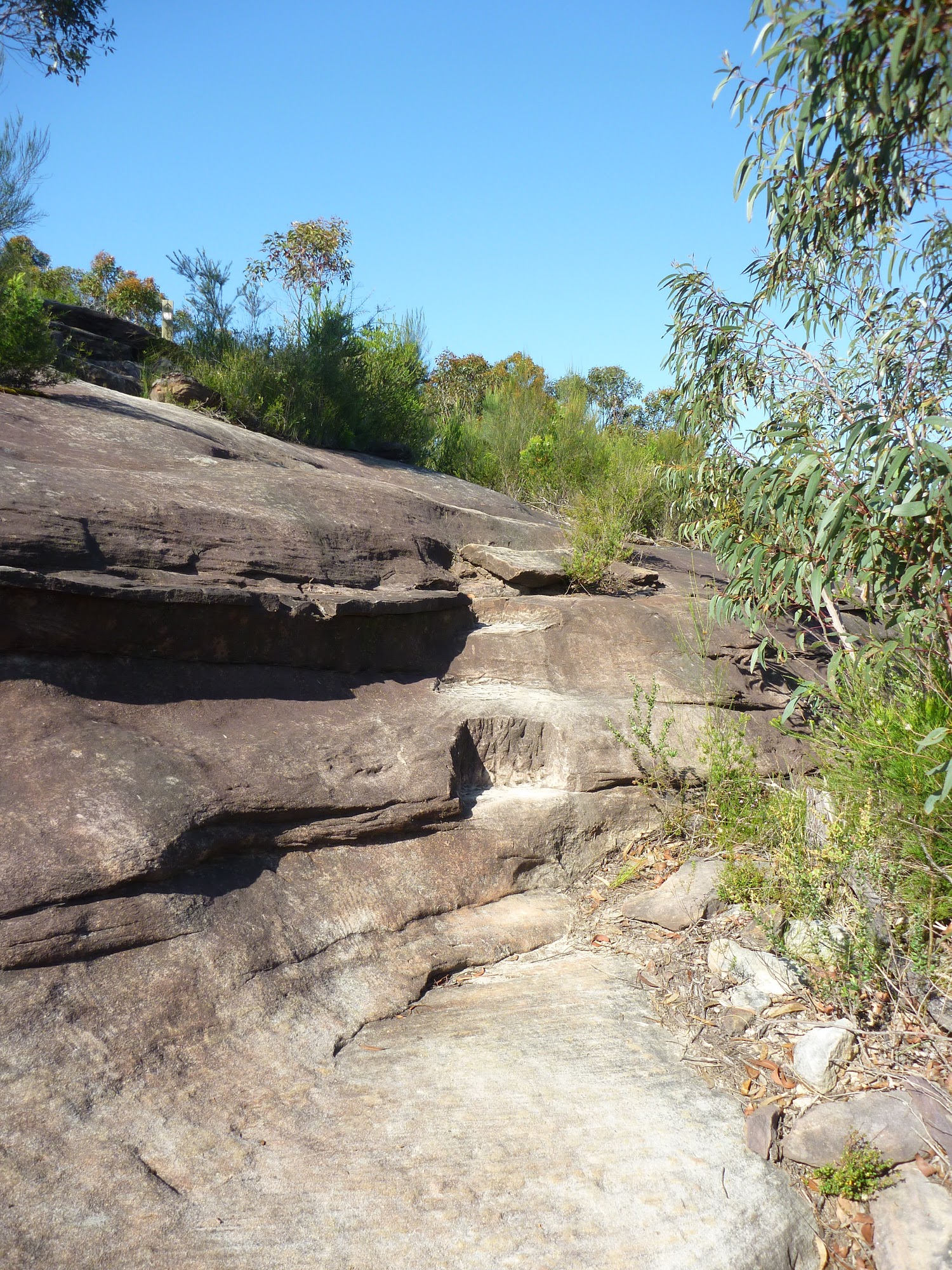 Climbing up the south side of Scopas Peak