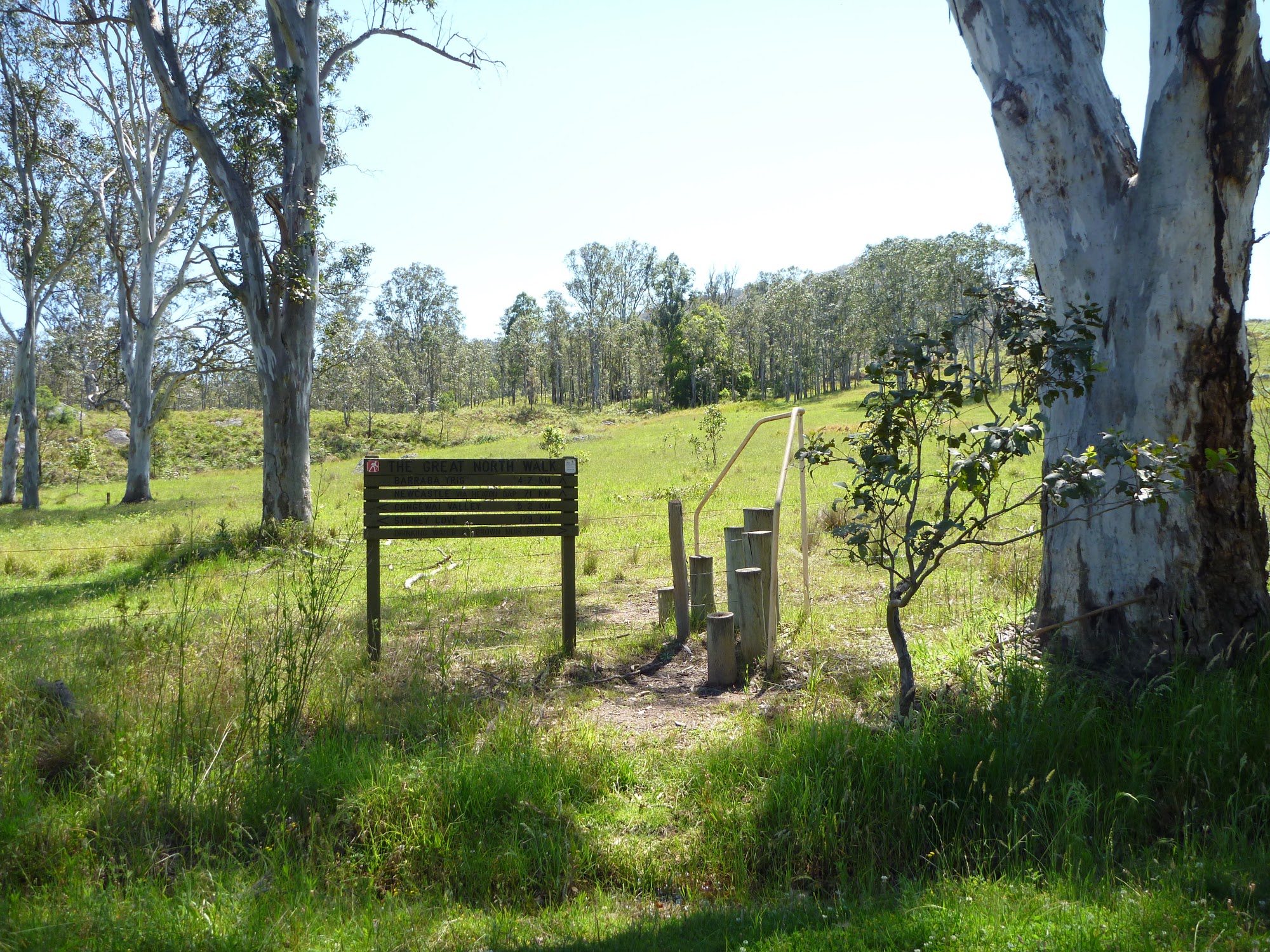 Congewai Valley track head