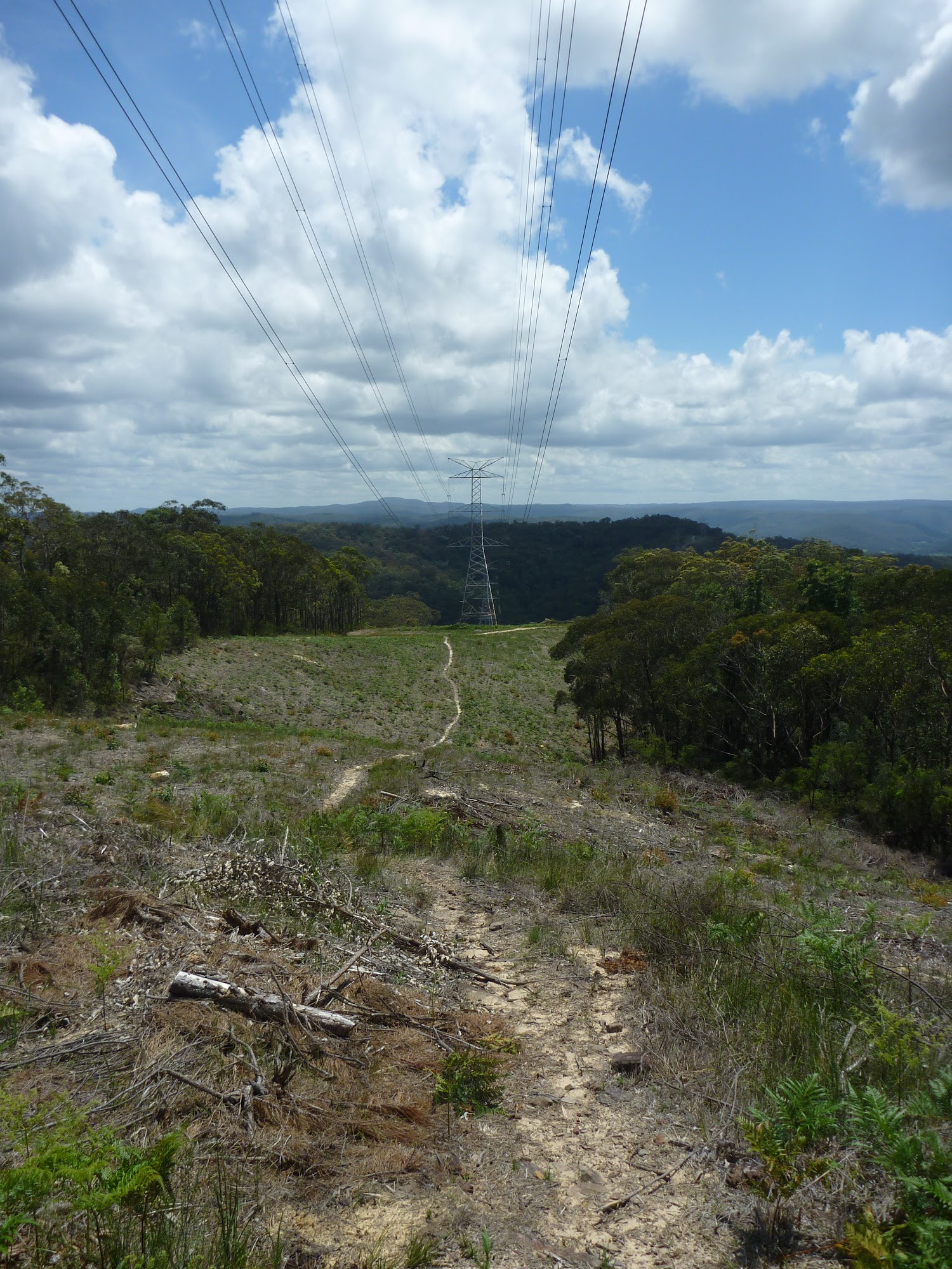 Following the high tension power lines near Greta Road