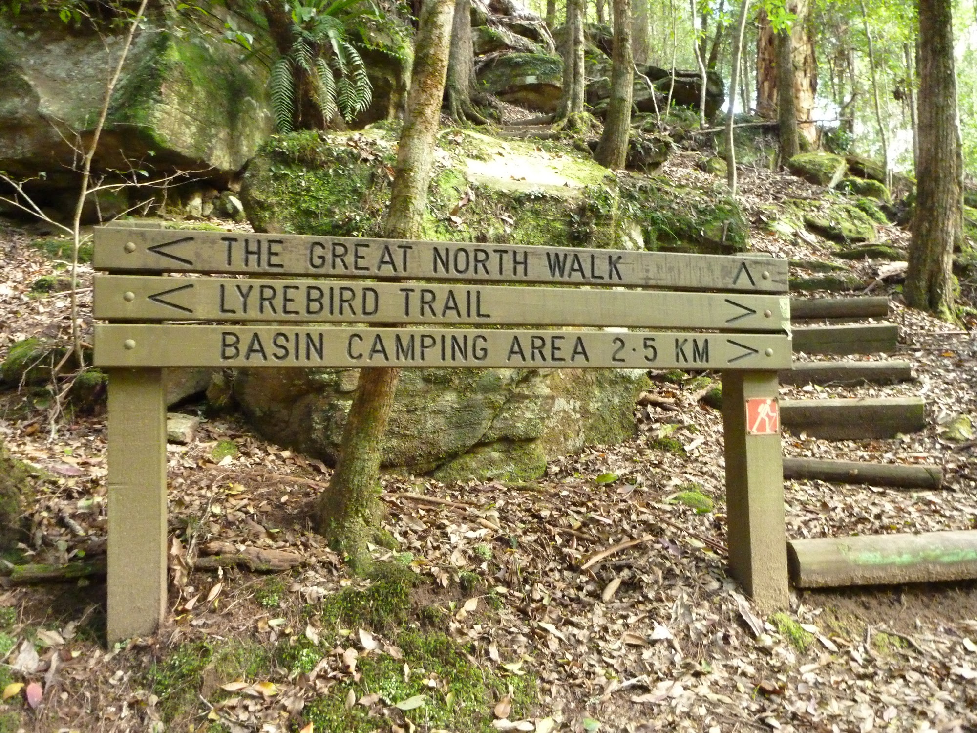 GNW sign on the Lyrebird Trail