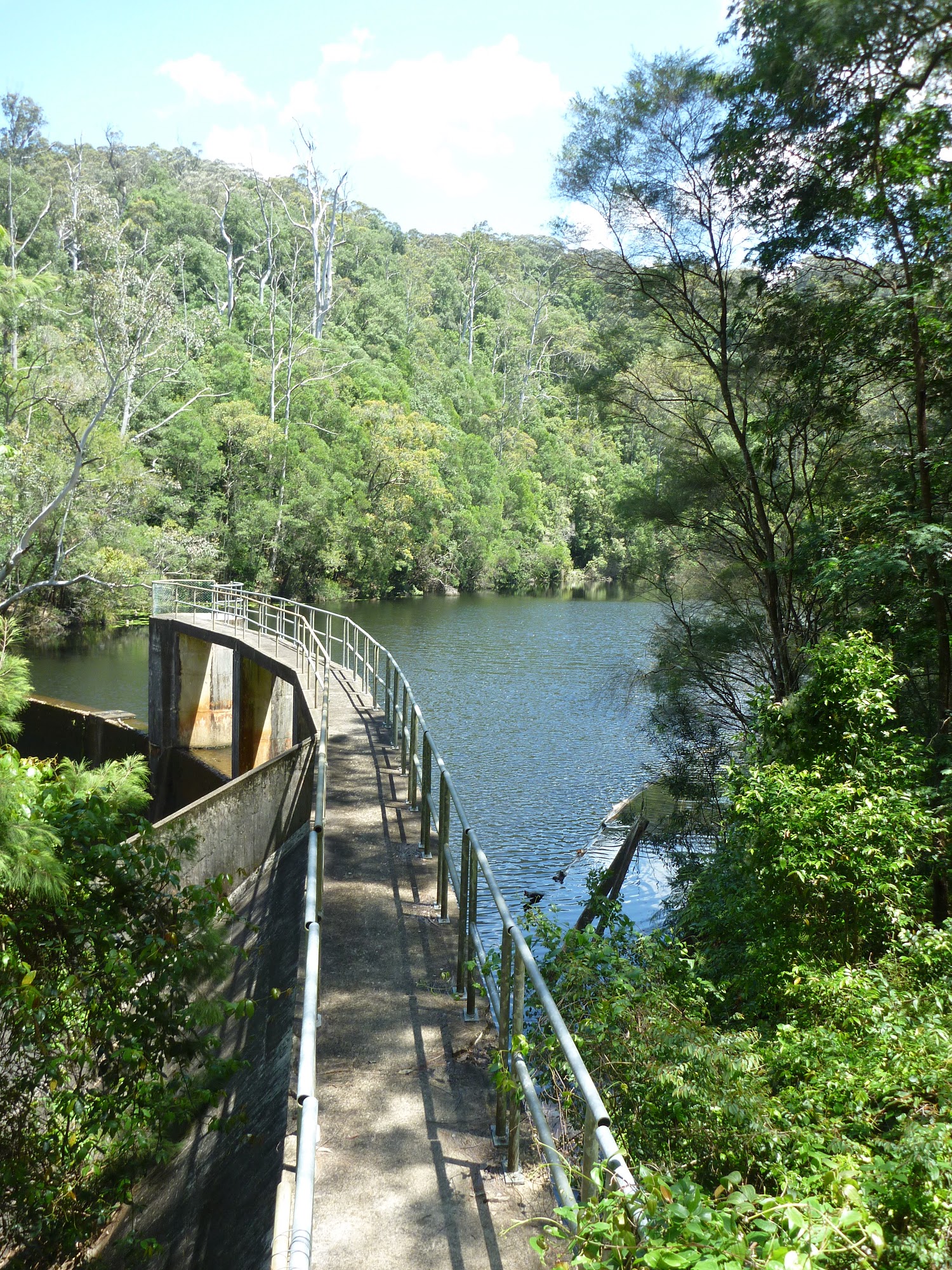 Lower Mooney Mooney Dam