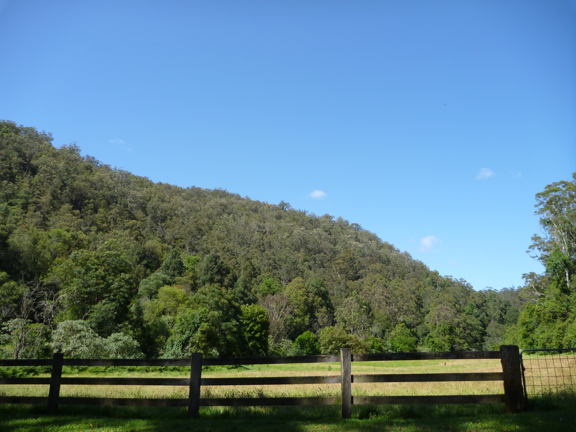 Open farmland near intersection with Kingtree Lane and Misty Valley Lane