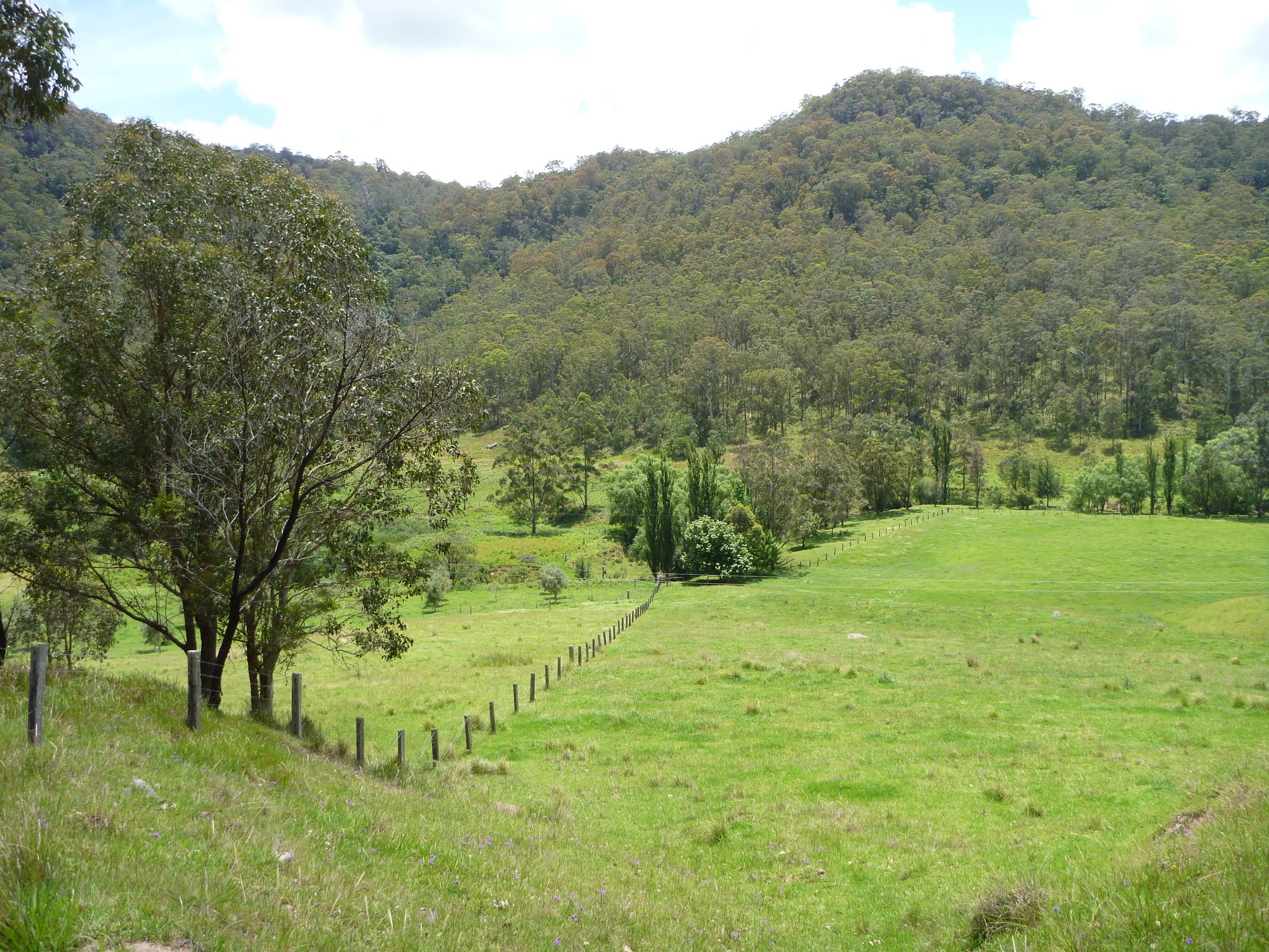 Passing through farmland south of Watagan Creek crossing