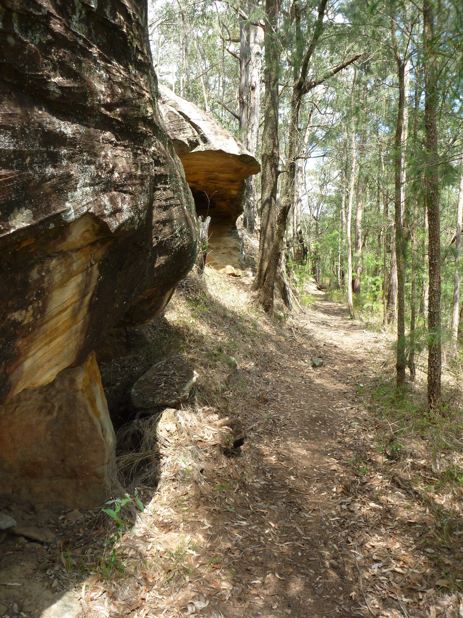 Rock formation on the Bumble Hill Dray track