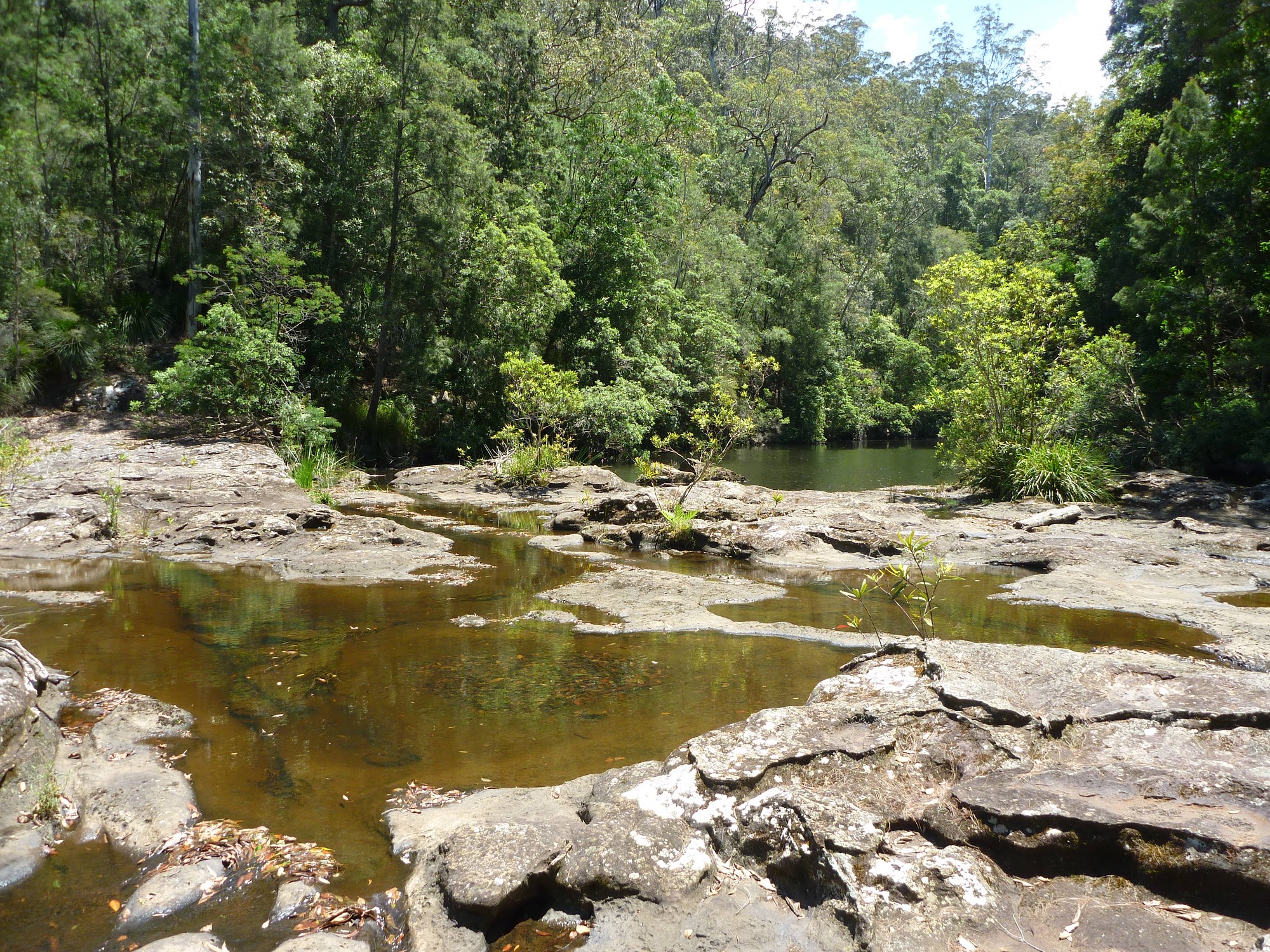 The beautiful Mooney Mooney Creek crossing