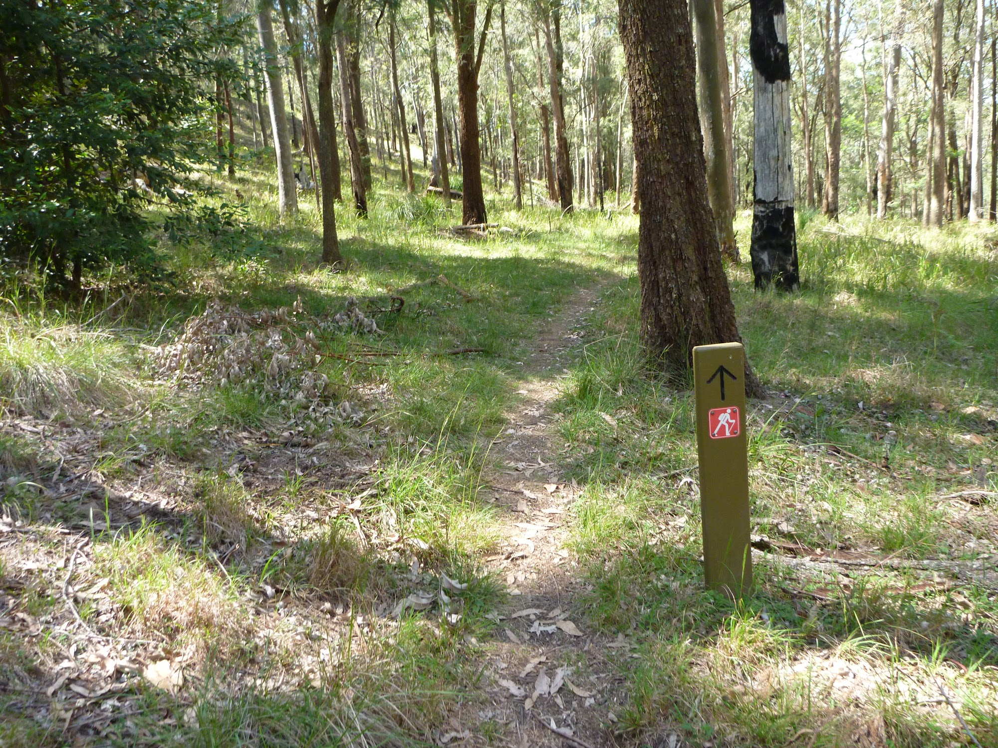 Trail on Georges Road
