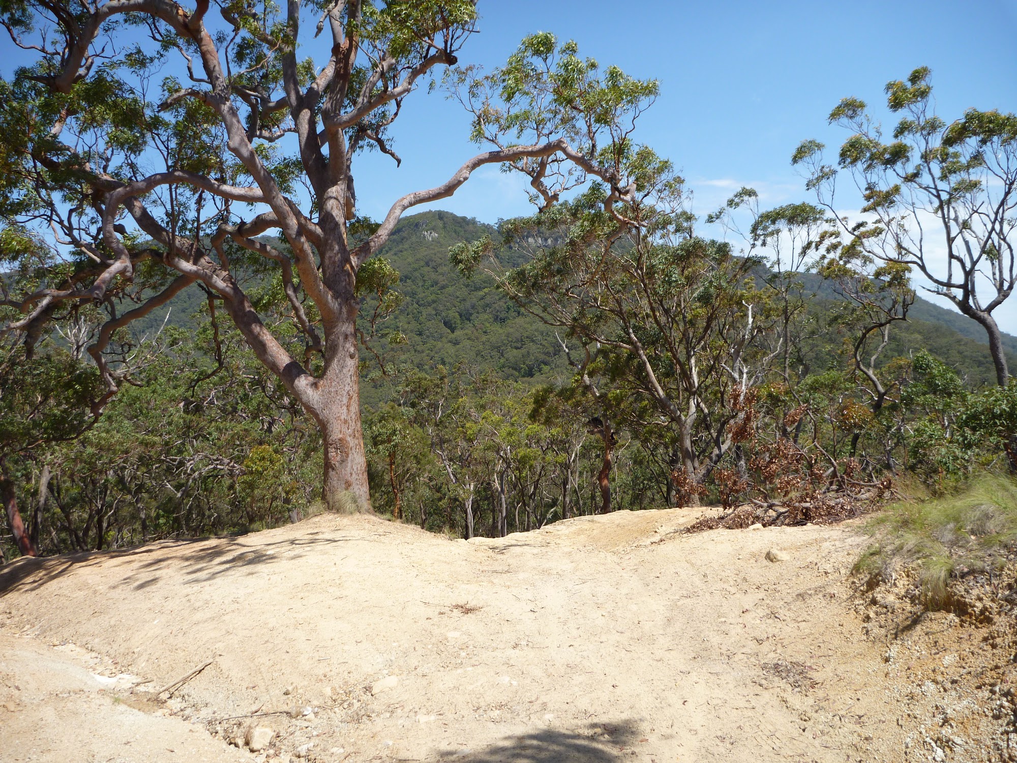 View from Gap Road