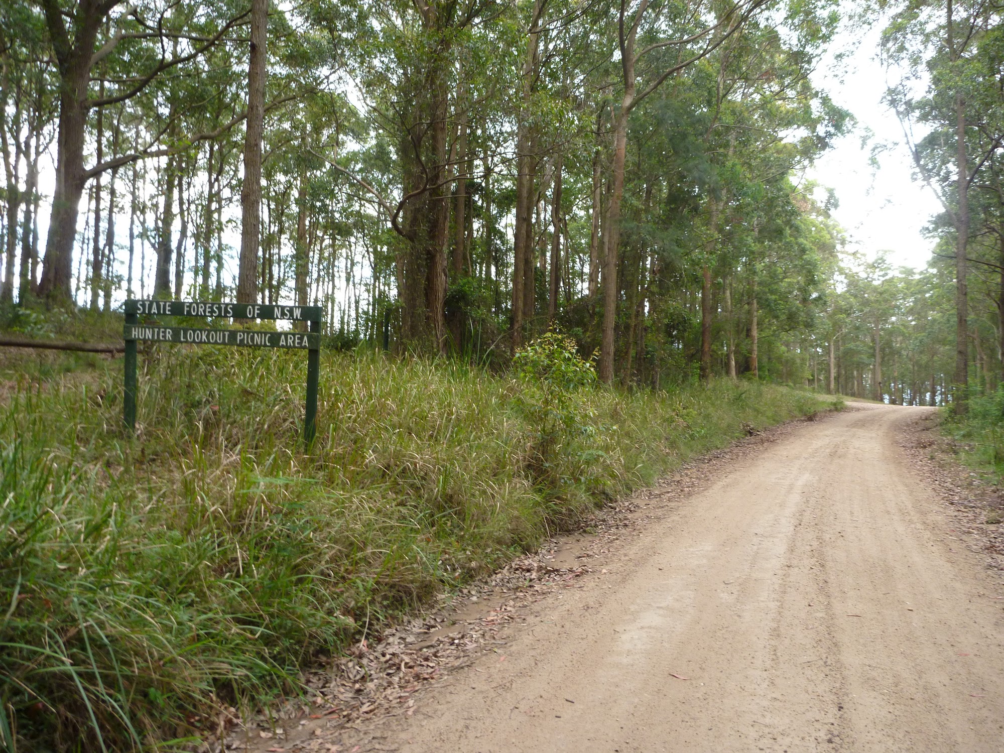 Walking along Bakers Rd