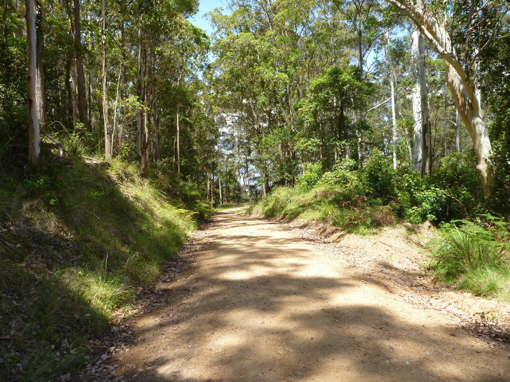 Walking along the road between Heaton Lookout and Tower