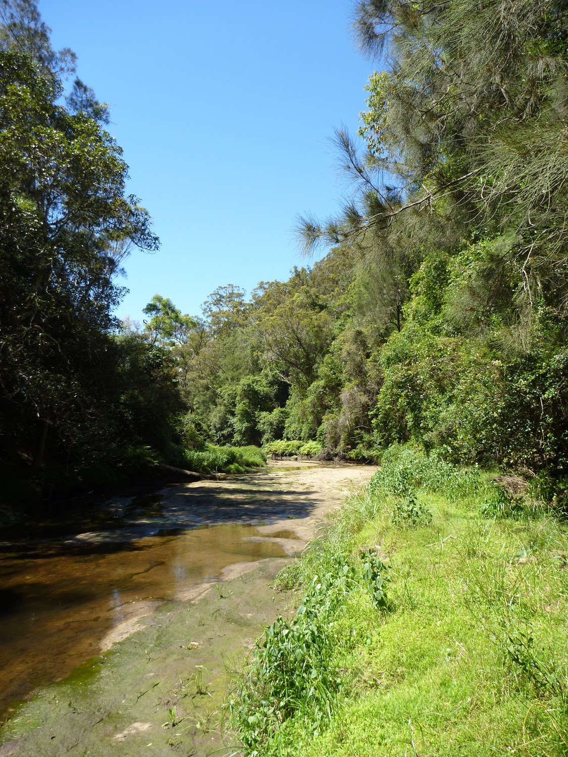 Wide sandy section of Calna Creek