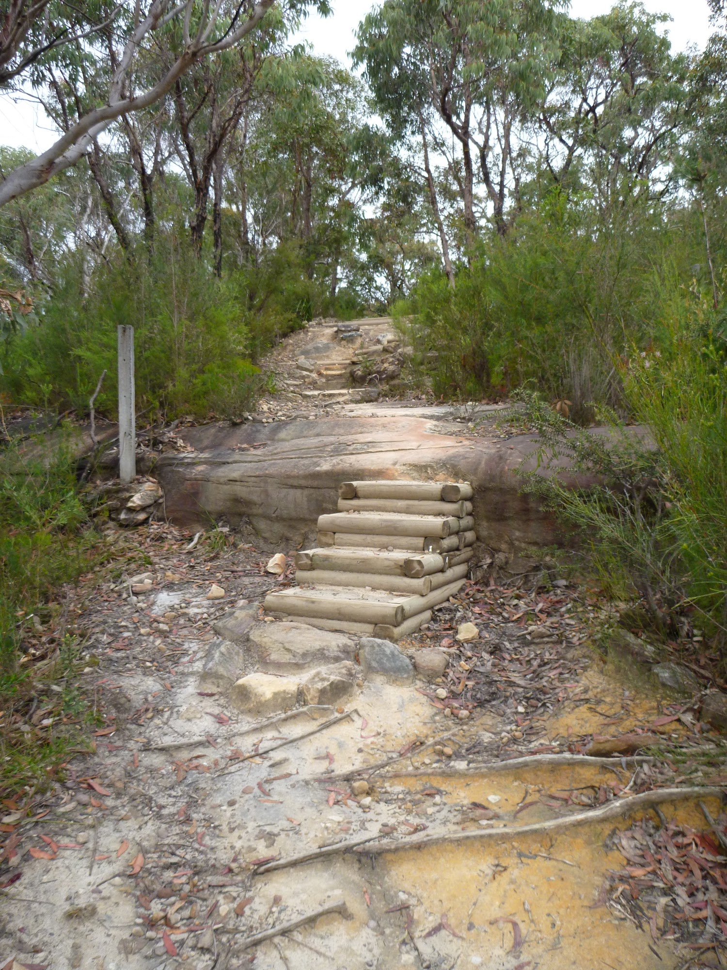 Wide track east of F3 crossing